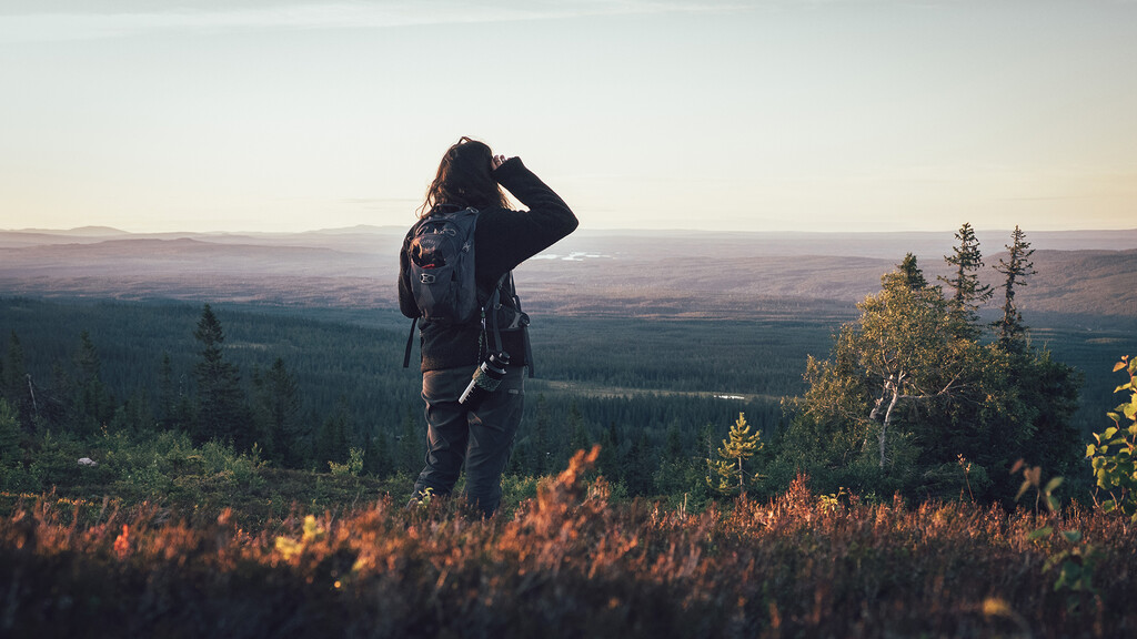 Visit Dalarna Vandringens dag