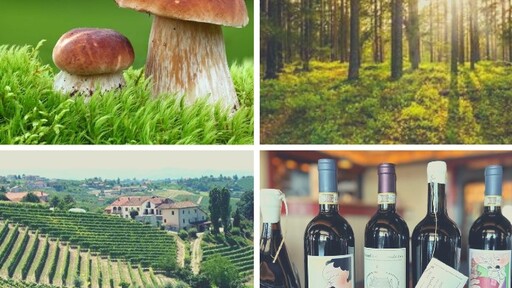 One Night Only! Tasting menu Dalarna + Piemonte